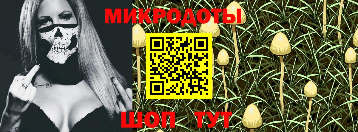 Нижнеудинск  Галлюциногенные грибы мицелий  Вход с VPN 